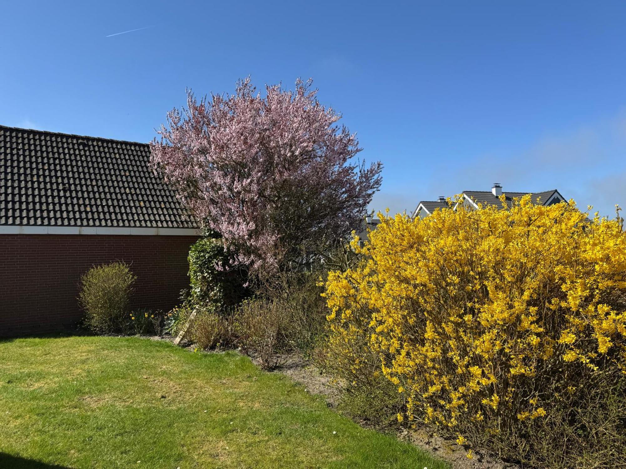 Haus Nordstrand Büsum Kamer foto