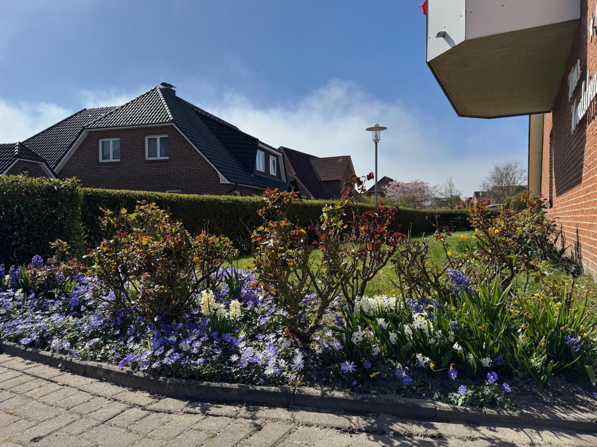 Haus Nordstrand Büsum Buitenkant foto